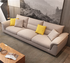 Có những loại sofa gia đình nào ?