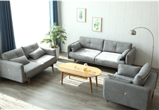 Sofa phòng khách giá rẻ RN001